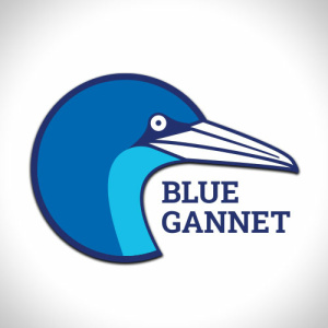Blue Gannet - Branding
